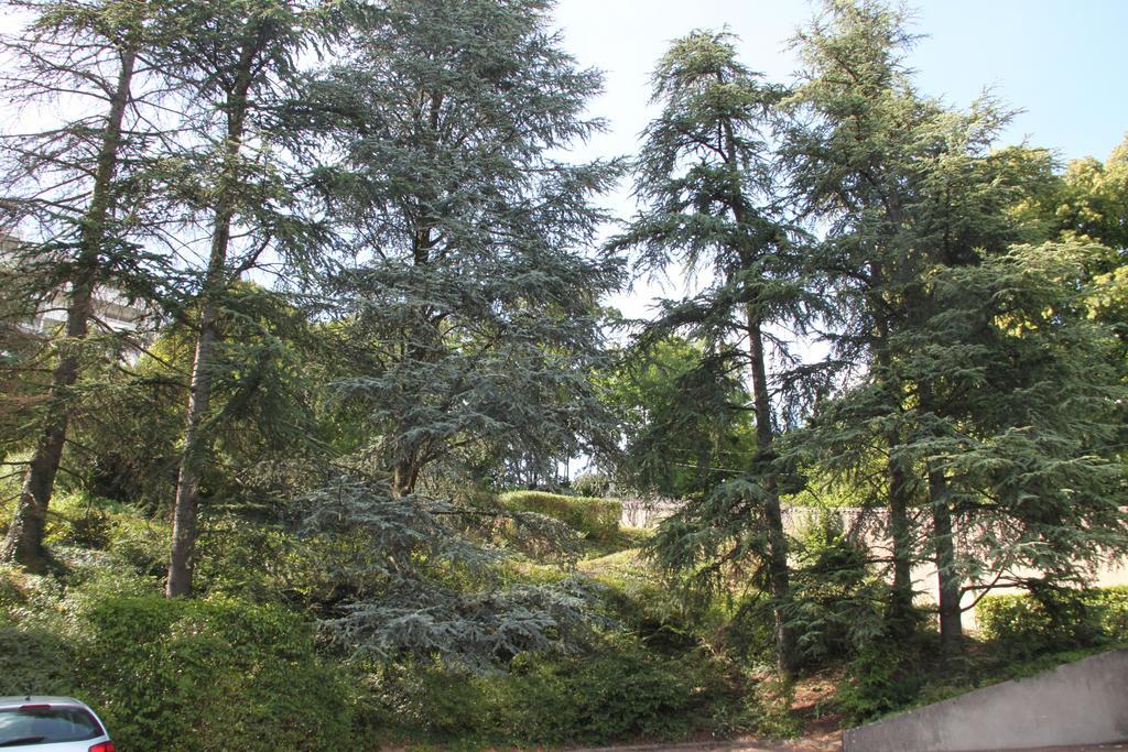 Les Hauts De Perrache Bed and Breakfast Sainte-Foy-lès-Lyon Eksteriør billede
